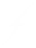 Tachyon Network